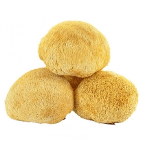 Lion's Mane Mushroom Ext