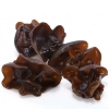 Black Fungus Extract