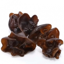 Black Fungus Extract