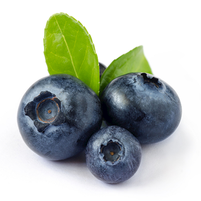 Blueberry Fruit Powder