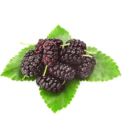 Mulberry Fruit Powder