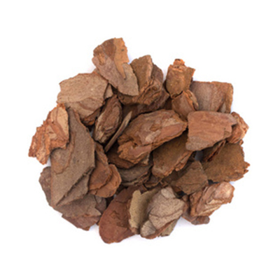 Pine Bark Extract